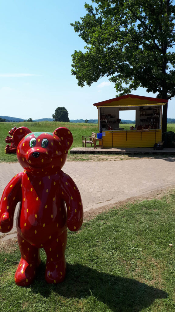 Erdbeersaison Obsthof Brunsiek