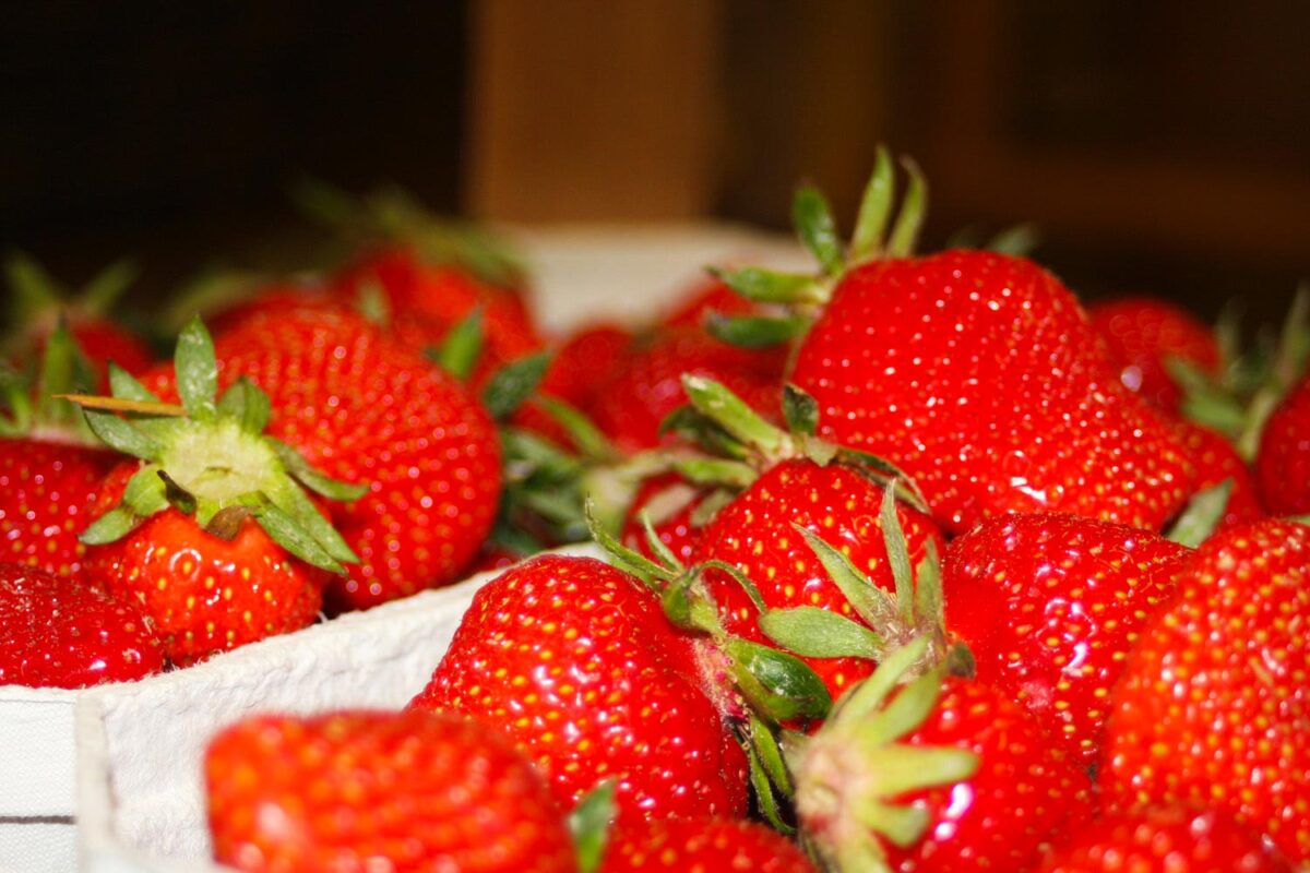 Erdbeeren