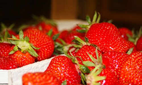 Erdbeeren