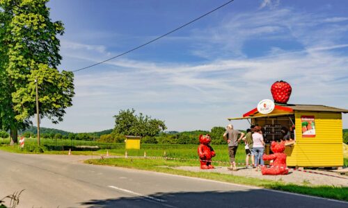 Verkaufsstand am Selbstpflückfeld